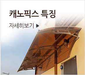 ĳ���Ƚ� Ư¡